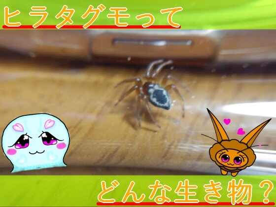 Thumbnail of post image 155